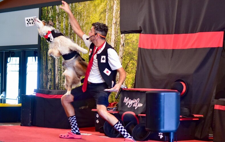 Spectacle avec Magic-Chien, le 1er novembre 2025, au CSM