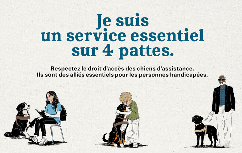 Lancement de la Campagne de sensibilisation sur les chiens d'assistance - L1001R