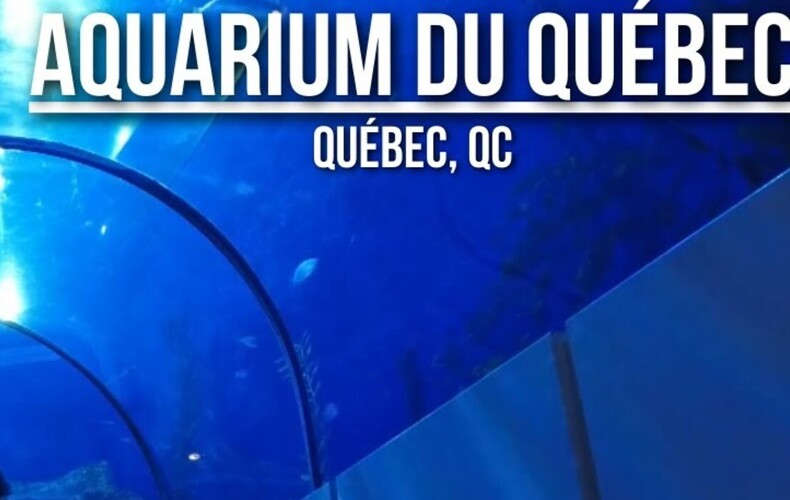 Sortie à l'Aquarium du Québec